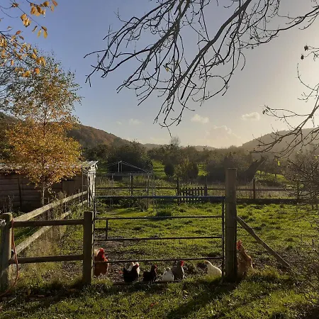 Gasthof Independante A La Campagne